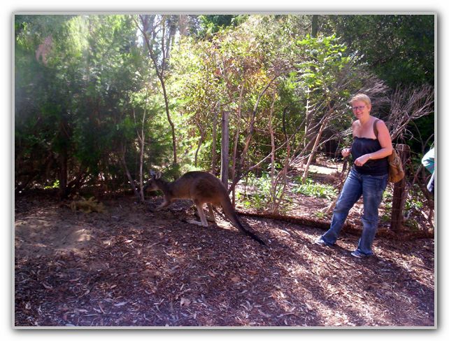 Karen at Perth Zoo Feb 16th 2007